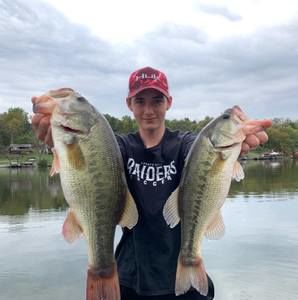 Meet your Posher, Bailey